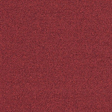 Ковровая плитка Interface Biosfera Boucle 7883 Granato фото 1 | FLOORDEALER